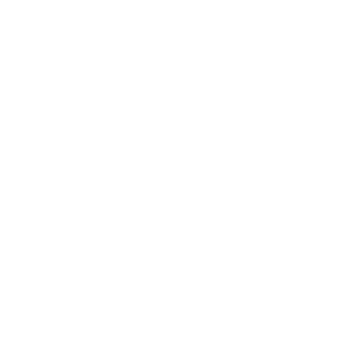 BMWLogoWit