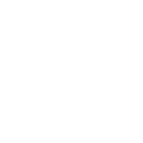 MercedesLogoWit